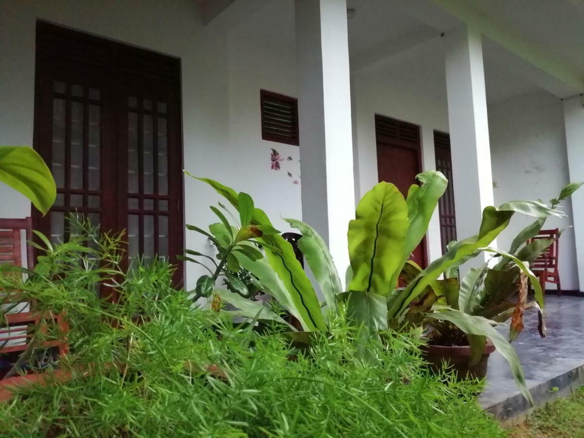 Orchid Villa #10 ฮิกคาดูวา ภายนอก รูปภาพ