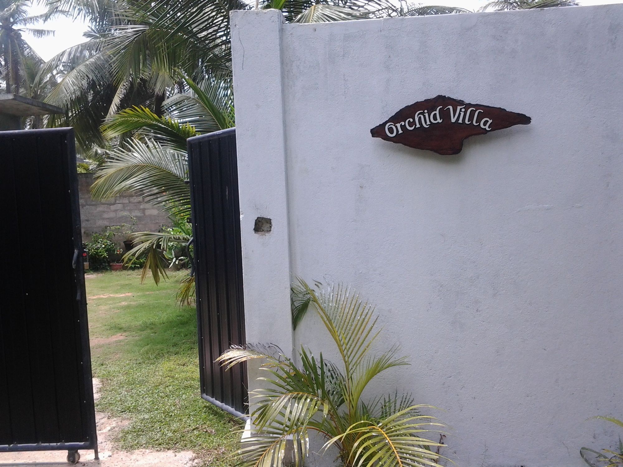 Orchid Villa #10 ฮิกคาดูวา ภายนอก รูปภาพ
