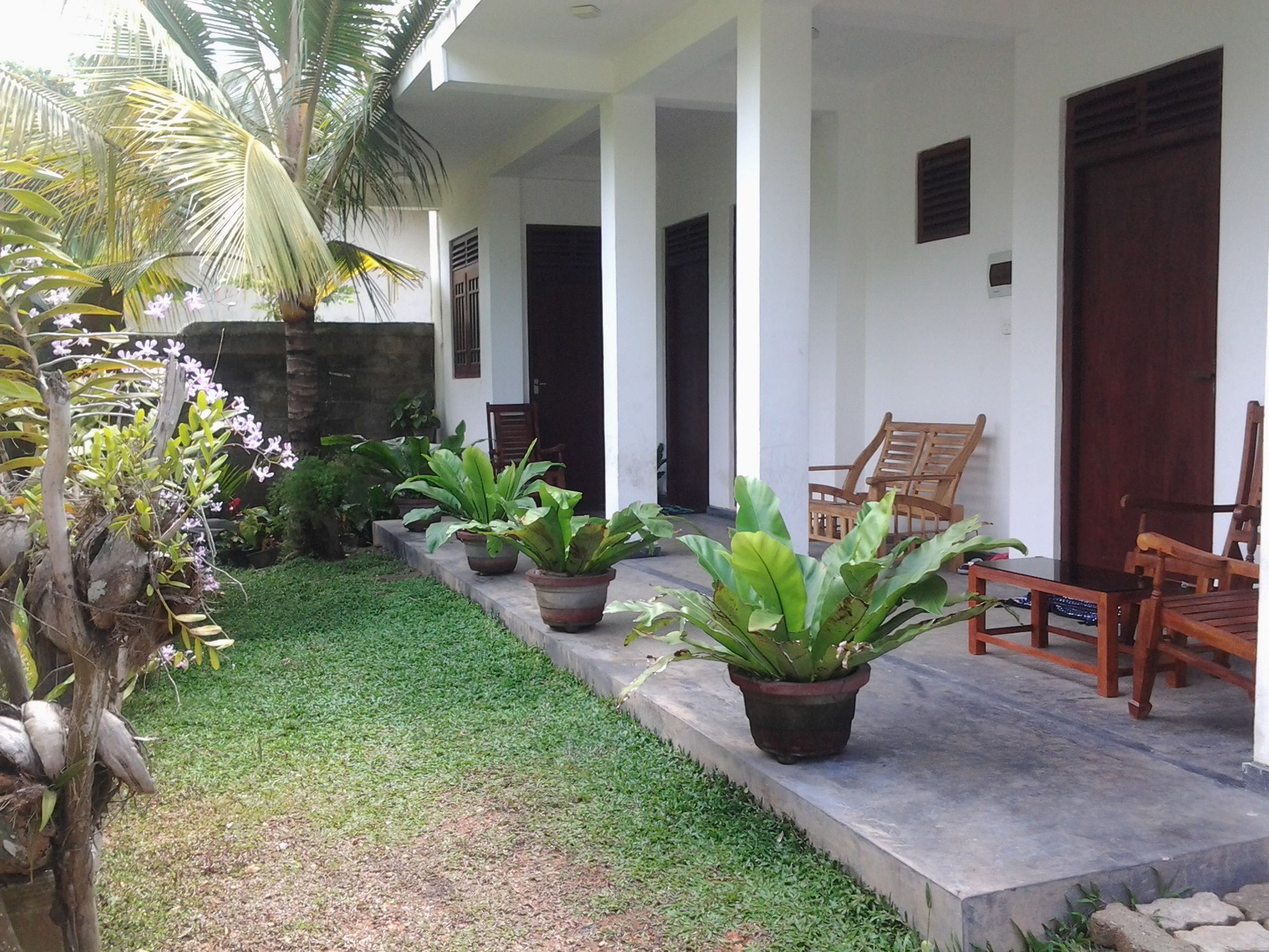 Orchid Villa #10 ฮิกคาดูวา ภายนอก รูปภาพ